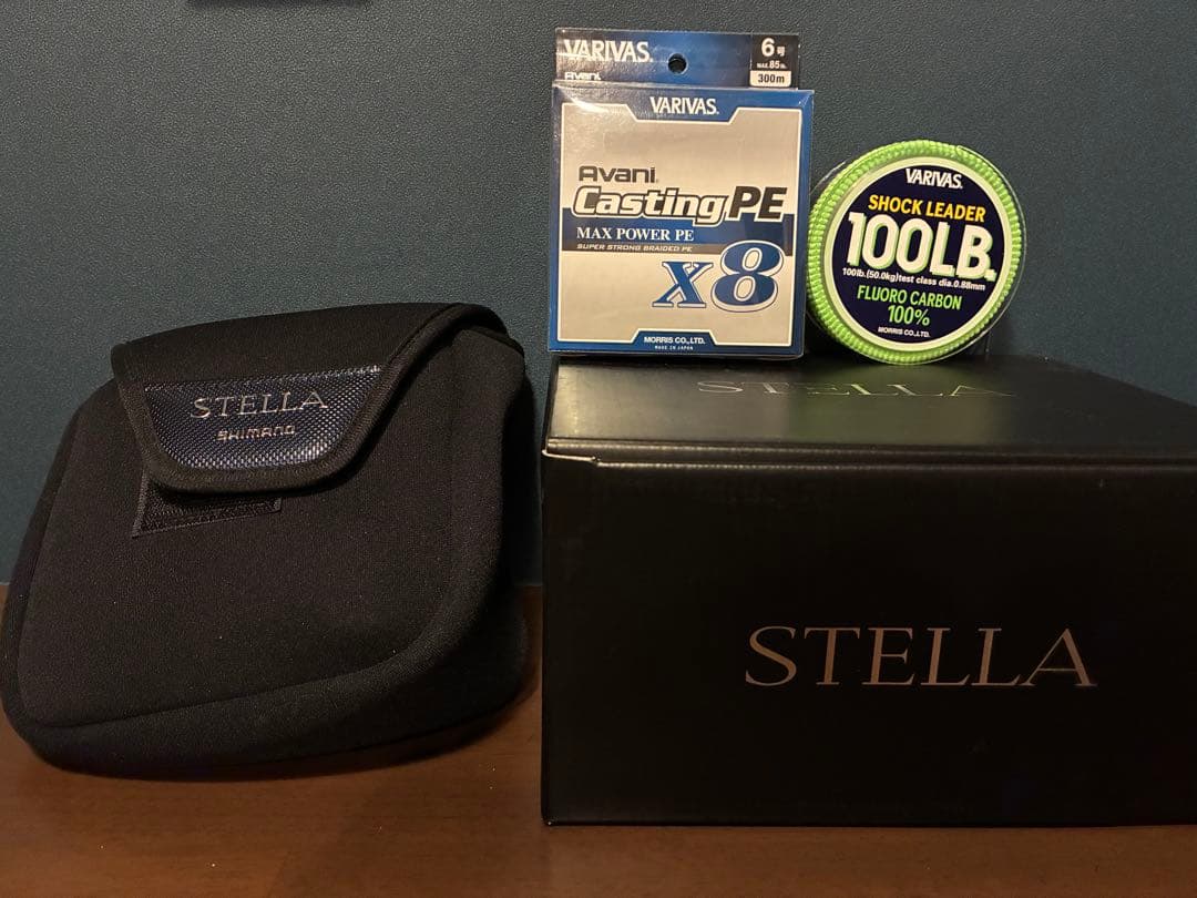 リール 19STELLA SW 14000xg