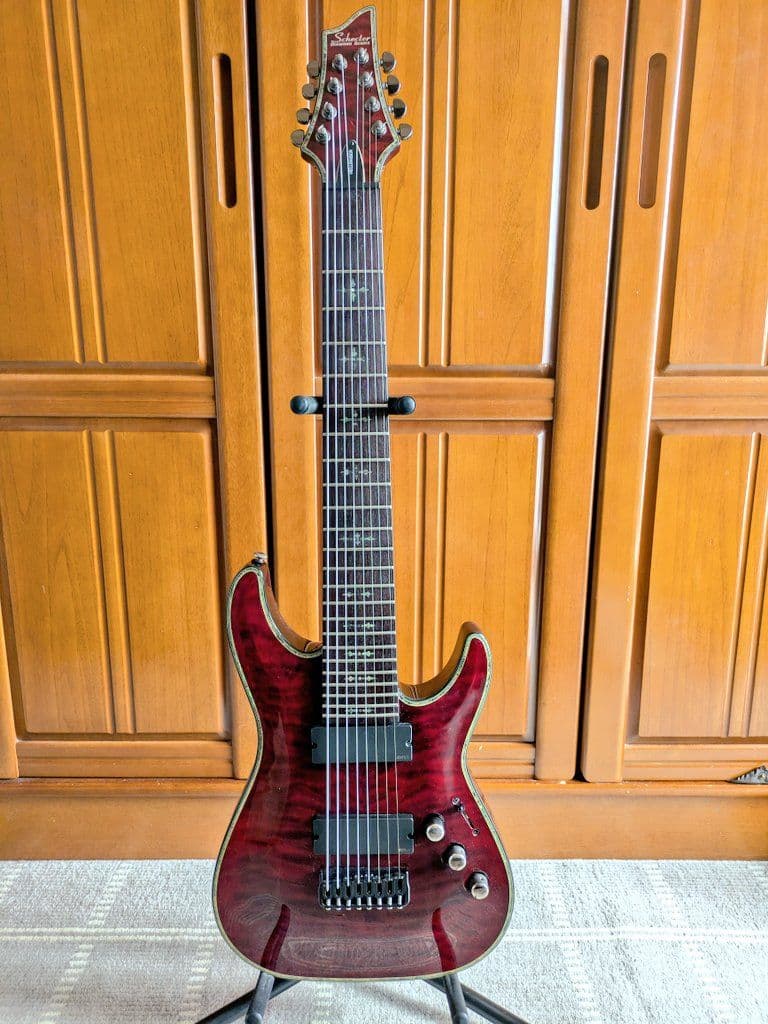 SCHECTER HELLRAISER C-8 BCH 8弦ギター
