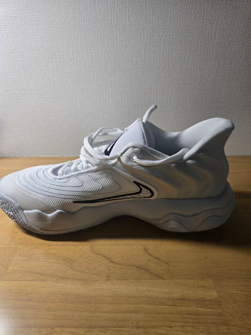 ナイキ ヤニス バスケットボールシューズ 27.5cm