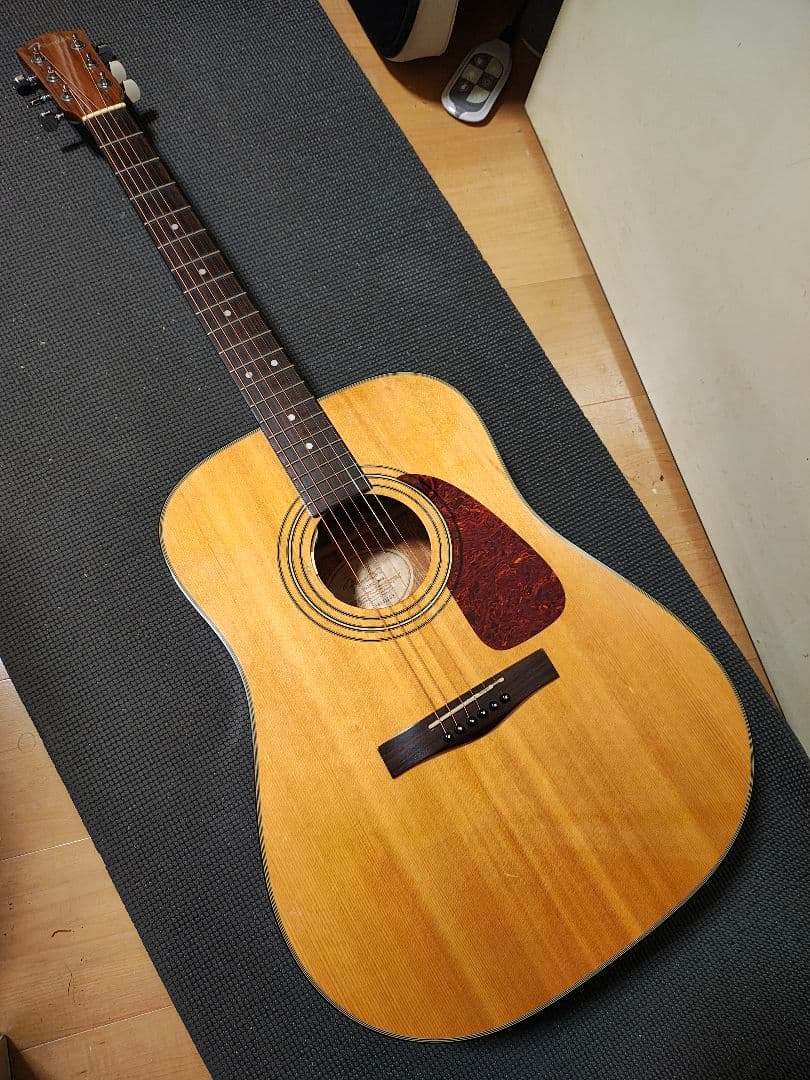 Fender DG20S NATエレアコCustom/ハードケース付