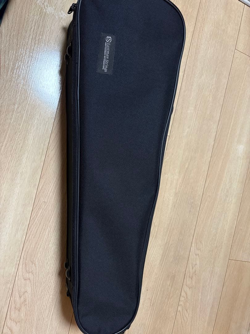 分数バイオリン 2022年製 Eastman VL80 1/2バイオリン本体