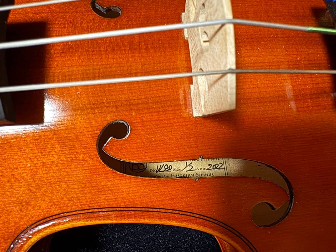 分数バイオリン 2022年製 Eastman VL80 1/2バイオリン本体