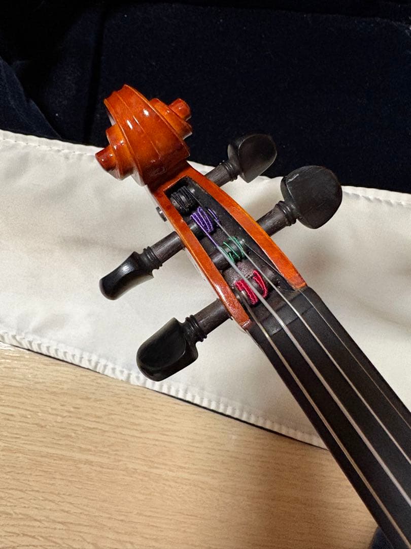 分数バイオリン 2022年製 Eastman VL80 1/2バイオリン本体