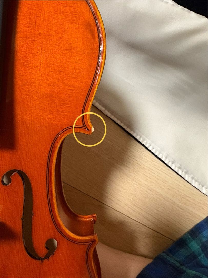 分数バイオリン 2022年製 Eastman VL80 1/2バイオリン本体