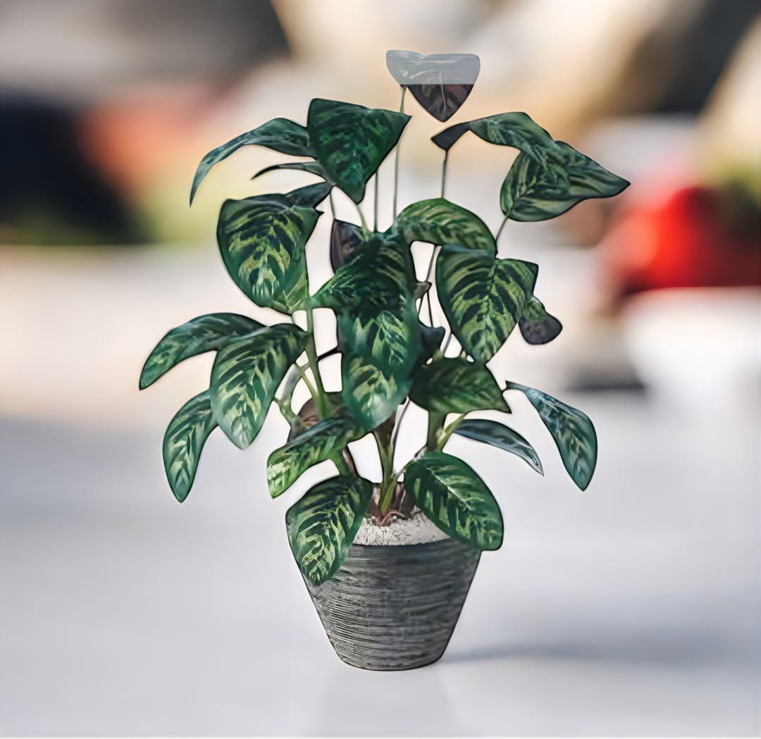 光触媒　人工観葉植物　ウォールグリーン　フェイクグリーン　クテナンテ Pラウンド