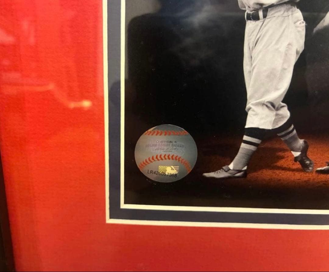 MLB ボストンレッドソックス レジェンド 大型額装
