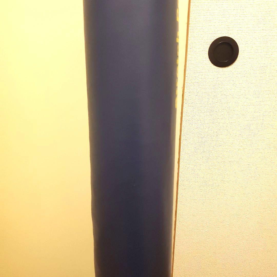 LPN ストレッチポール EX ネイビー 正規品 StretchPole