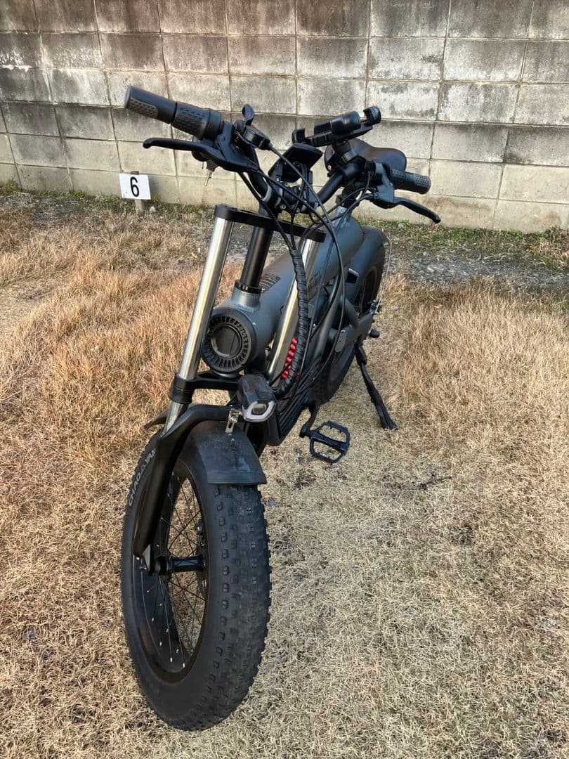 疾*風様 COSWHEEL 電動アシスト自転車