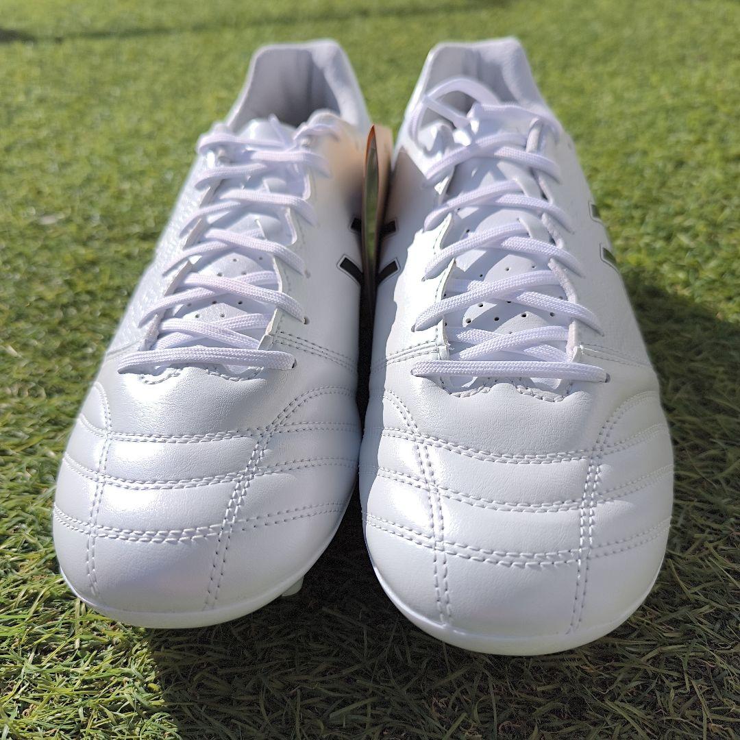 シューズ asics DS LIGHT ADVANCE WIDE 27.0cm