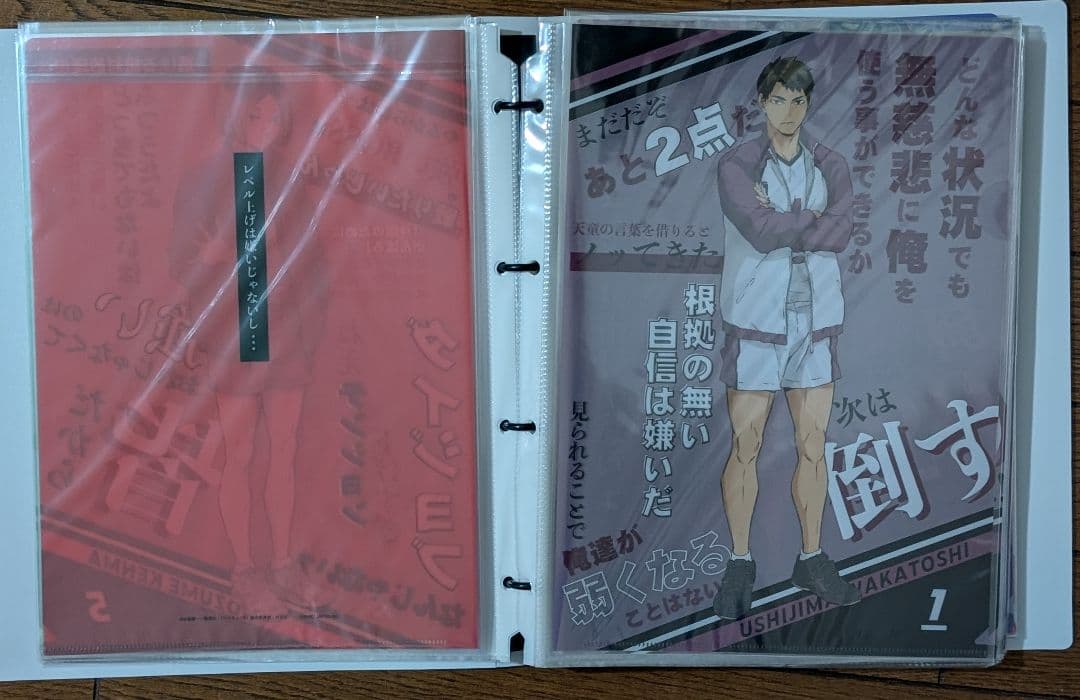 ハイキュー　クリアファイル　コンプ　アニメイト　完売品
