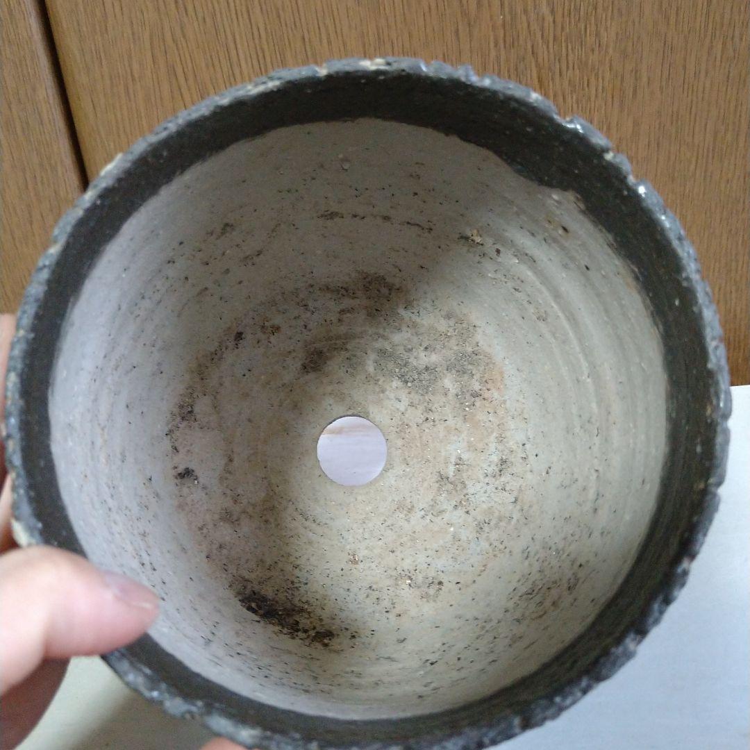 職人鉢 多肉植物 サボテンにも