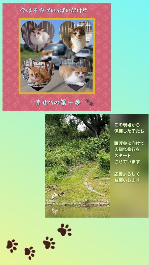 アンティーク油彩画 Ogawaお洒落なフランスの街の風景