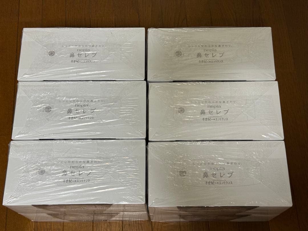【6セット(12箱)】ネピア鼻セレブMr.Children半世紀へのエントランス