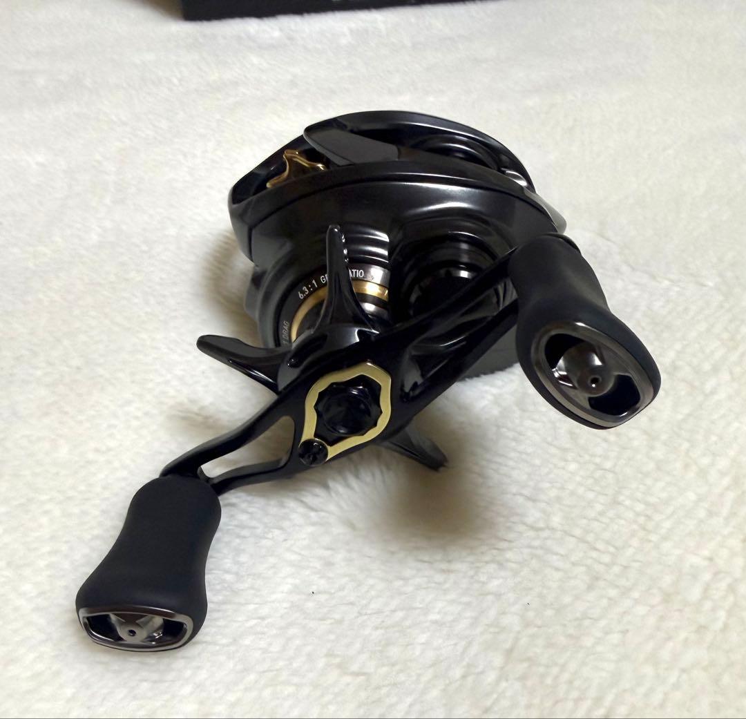 ダイワ 19スティーズ CT SV TW 700HL