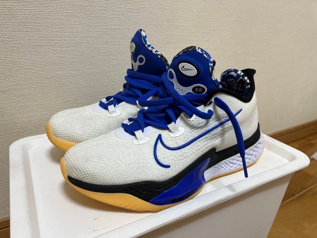 シューズ(男性用) NIKE AIR ZOOM BB NXT DB9990-100