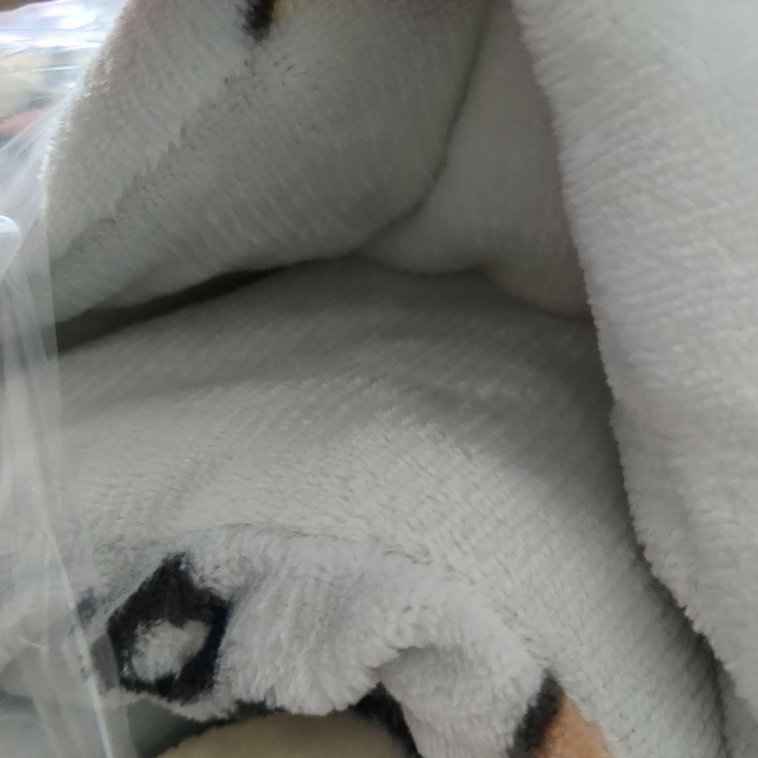 新品！リラックマ　コリラックマ　あったか掛け布団　シングルロングサイズ