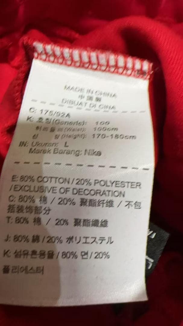 未使用NIKE セットアップ テックフリース L
