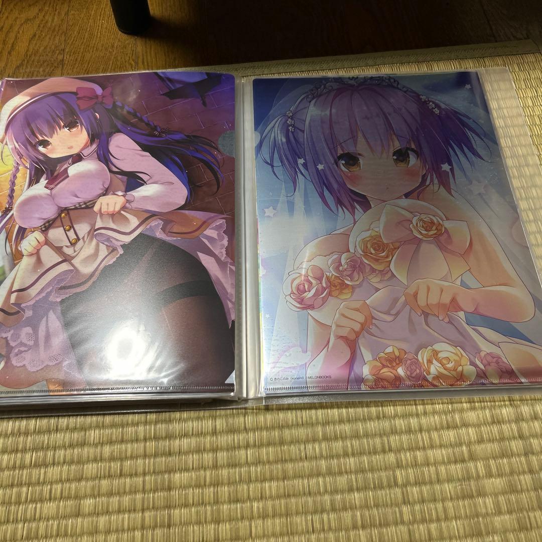 きのこのみ クリアファイル まとめ売り
