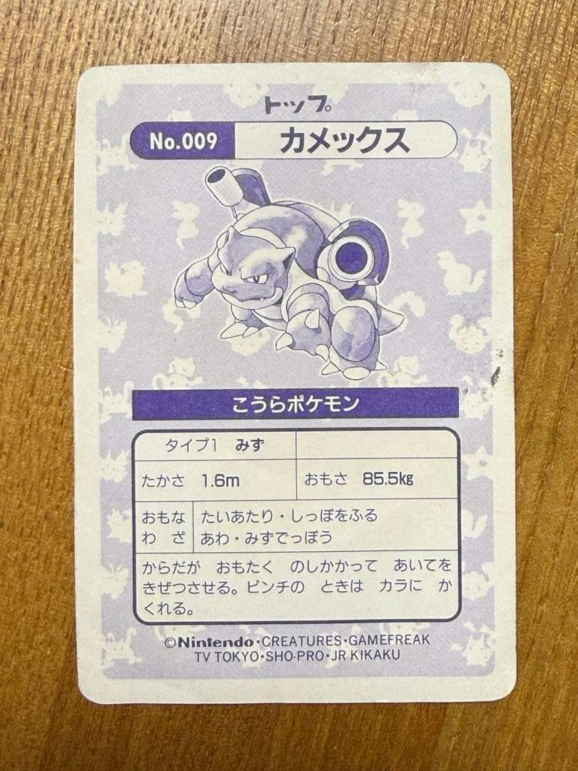 【激レア】トップサン カメックス