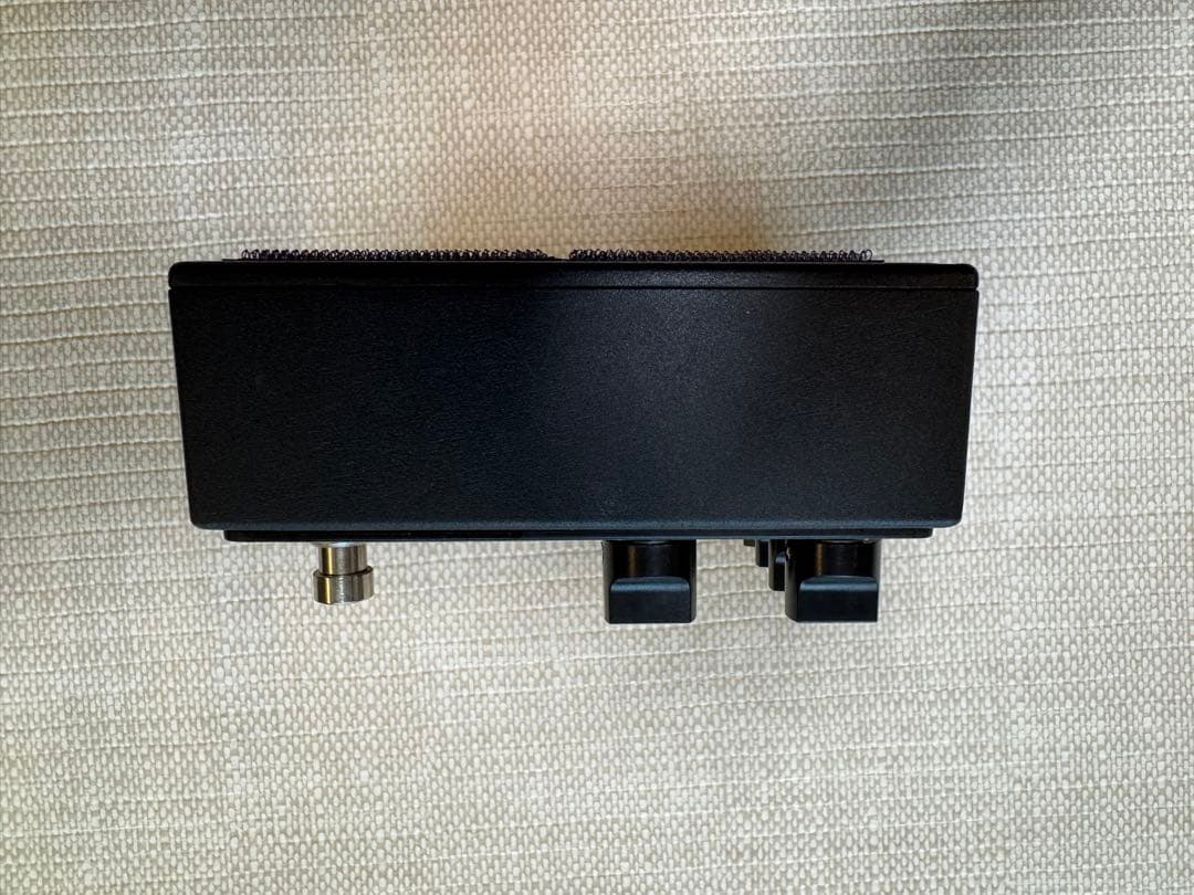 【美品】FRIEDMAN BE-OD Delux フリードマン