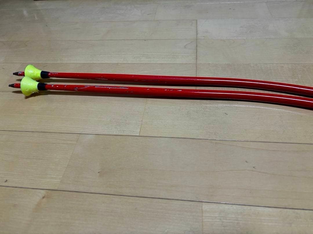 スキー LEKI world cup GS 117cm