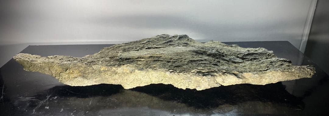 6585 佐治川石 ウブ 横56.5cm 重量:6kg 水石 盆栽 鑑賞石