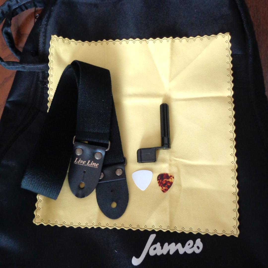 James J-350C EBU　Fishman製ピックアップ　エレアコ　美品！