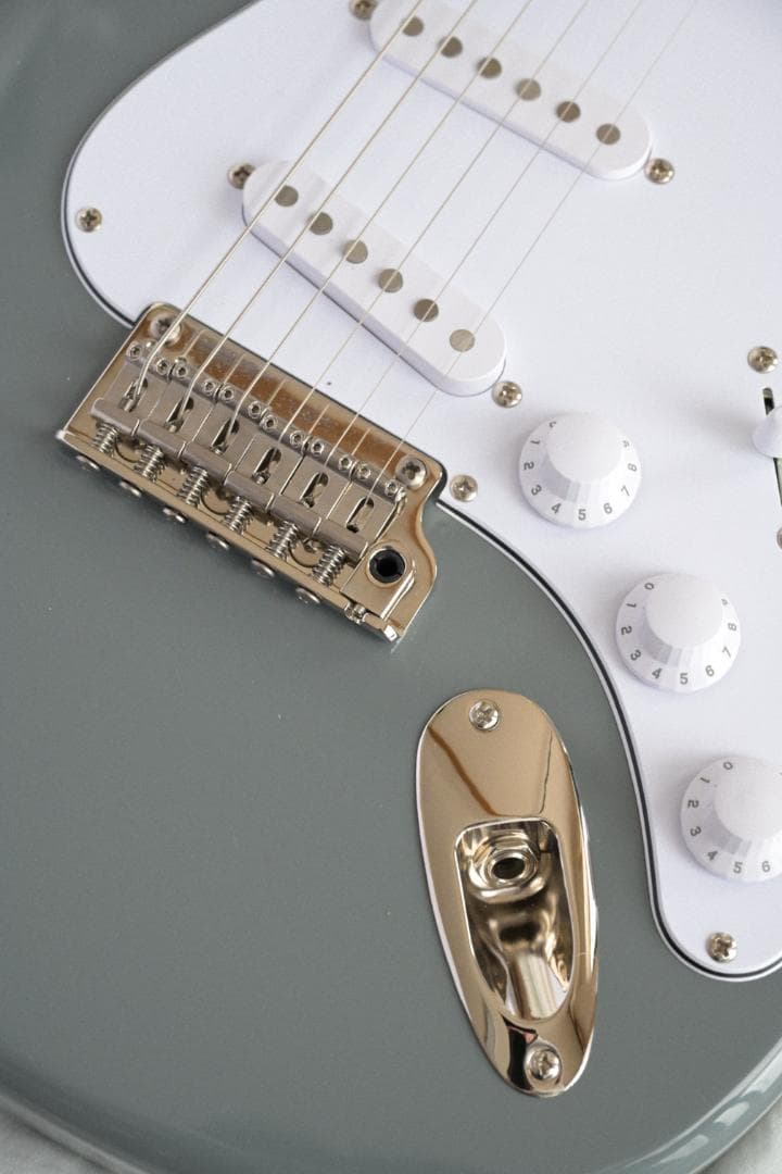 PRS SE Silver Sky 【Storm Gray】