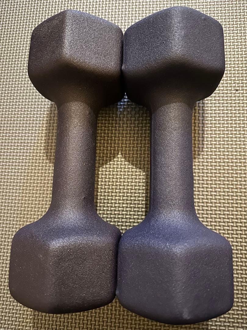 【送料込み】IVANKO ネオプレーンダンベル 鉄アレイ5kg 水洗い可