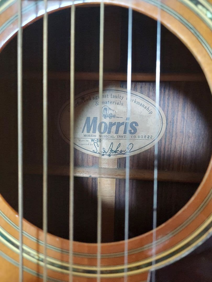 Morris W-30 アコースティックギター