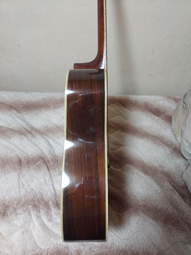 Morris W-30 アコースティックギター