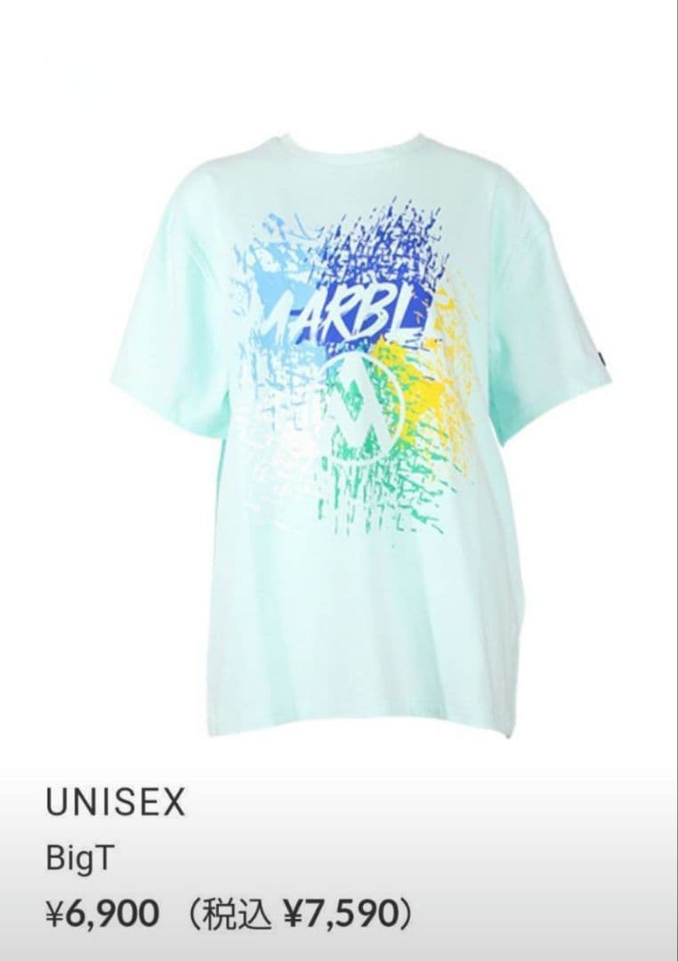 【美品】水色 ユニセックス Tシャツ BigT