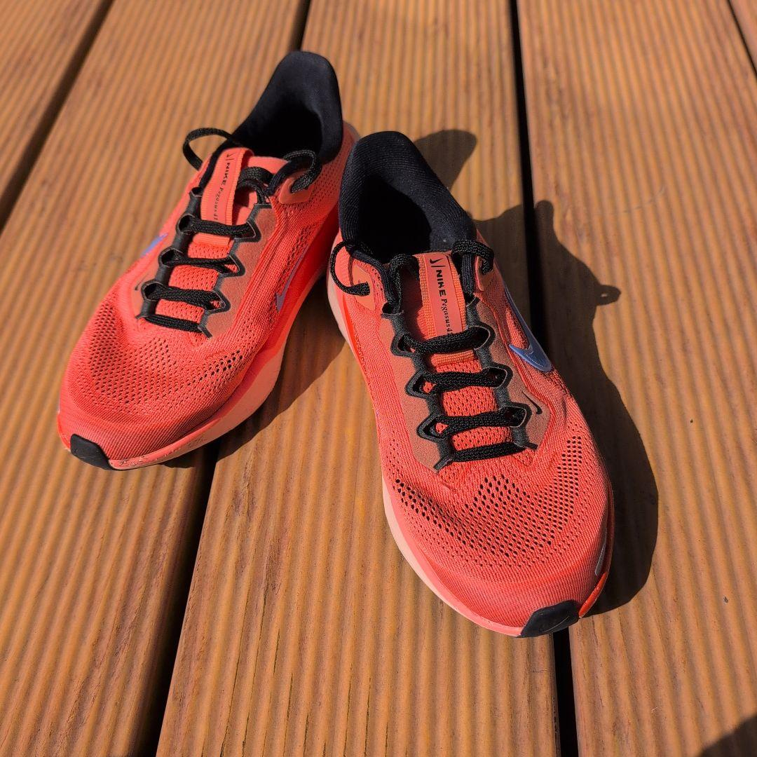 Nike エアーズーム ペガサス41★22.5cm