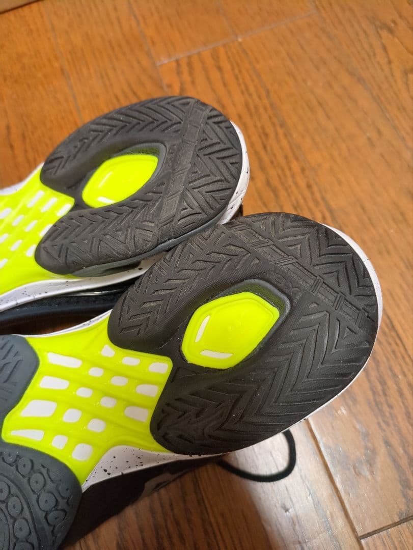 MIZUNO　バドミントンシューズ 25センチ