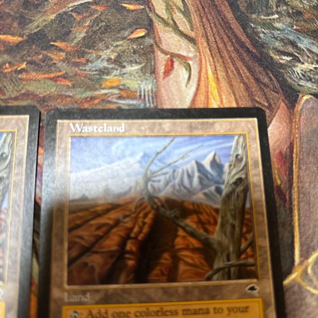 MTG 不毛の大地　テンペスト二枚