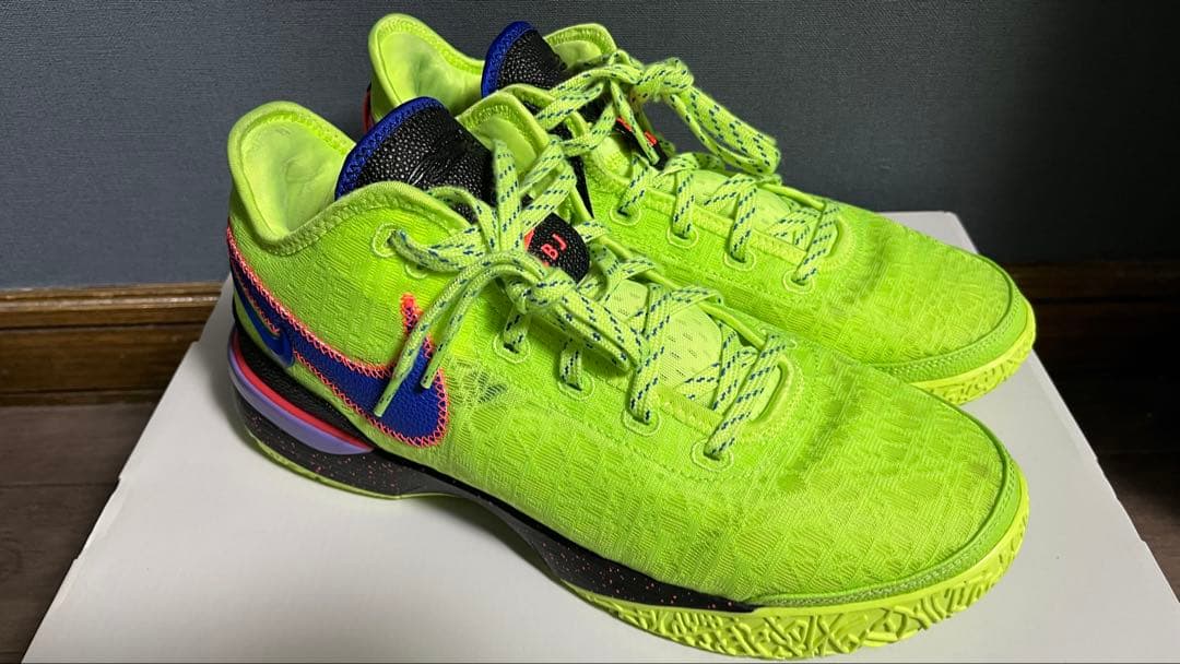 専用 NIKE LEBRON NXXT GEN EP ナイキ レブロン29cm