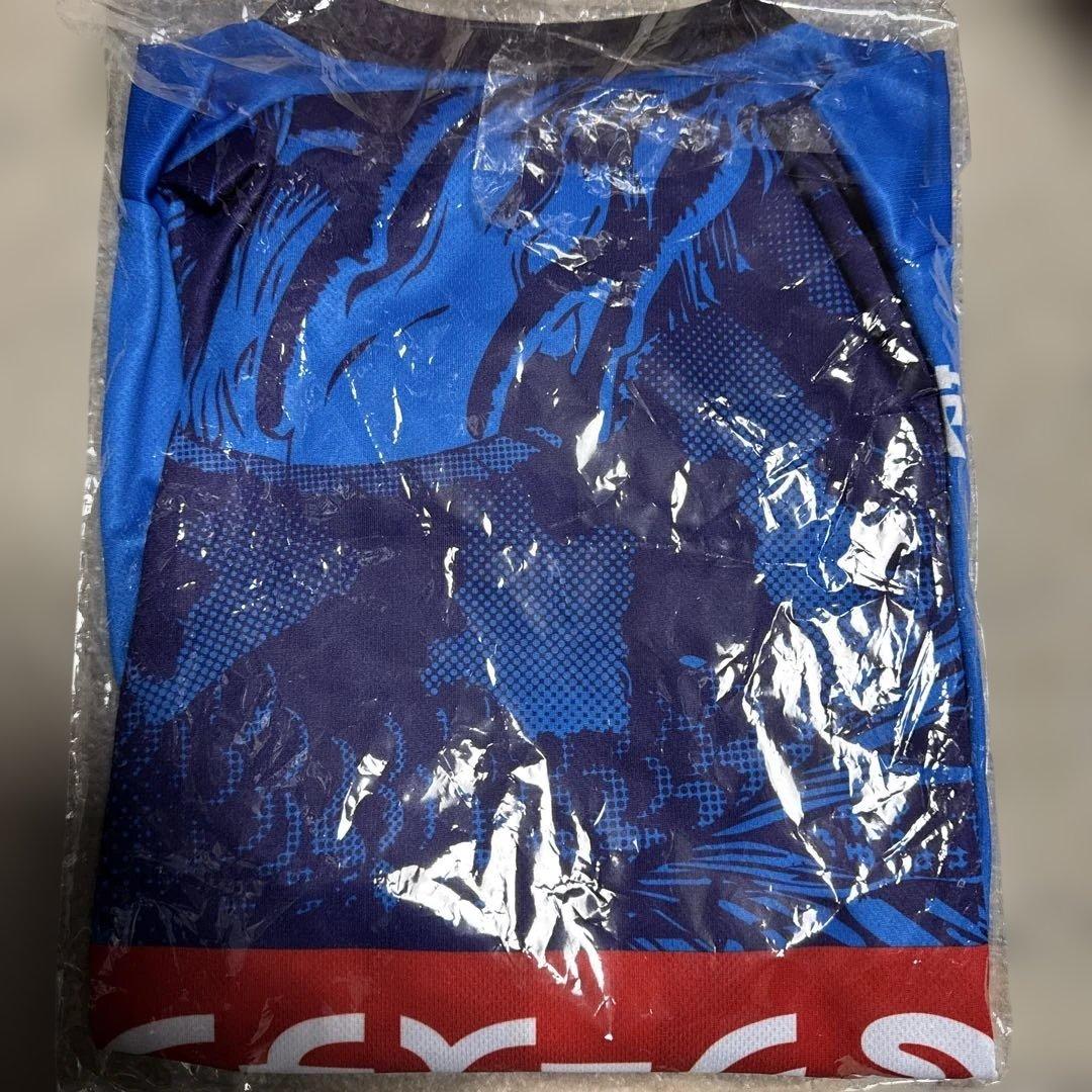 水戸ホーリーホック　12 応援ユニフォーム　TシャツLLサイズ