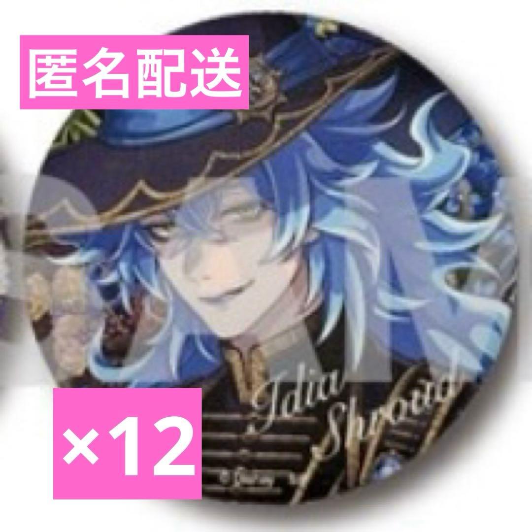 ツイステ ブルームバースデー アニメイト限定 缶バッチ イデア×12点