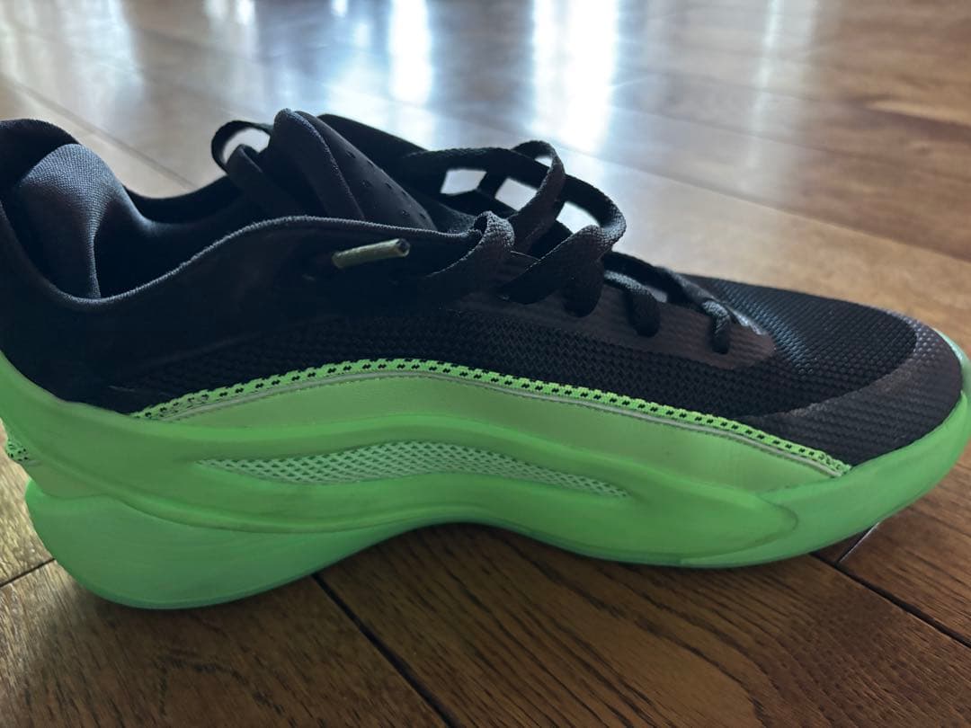 シューズ(男性用) Nike Jordan Luka 5 PF \"Venom\" 28.5cm