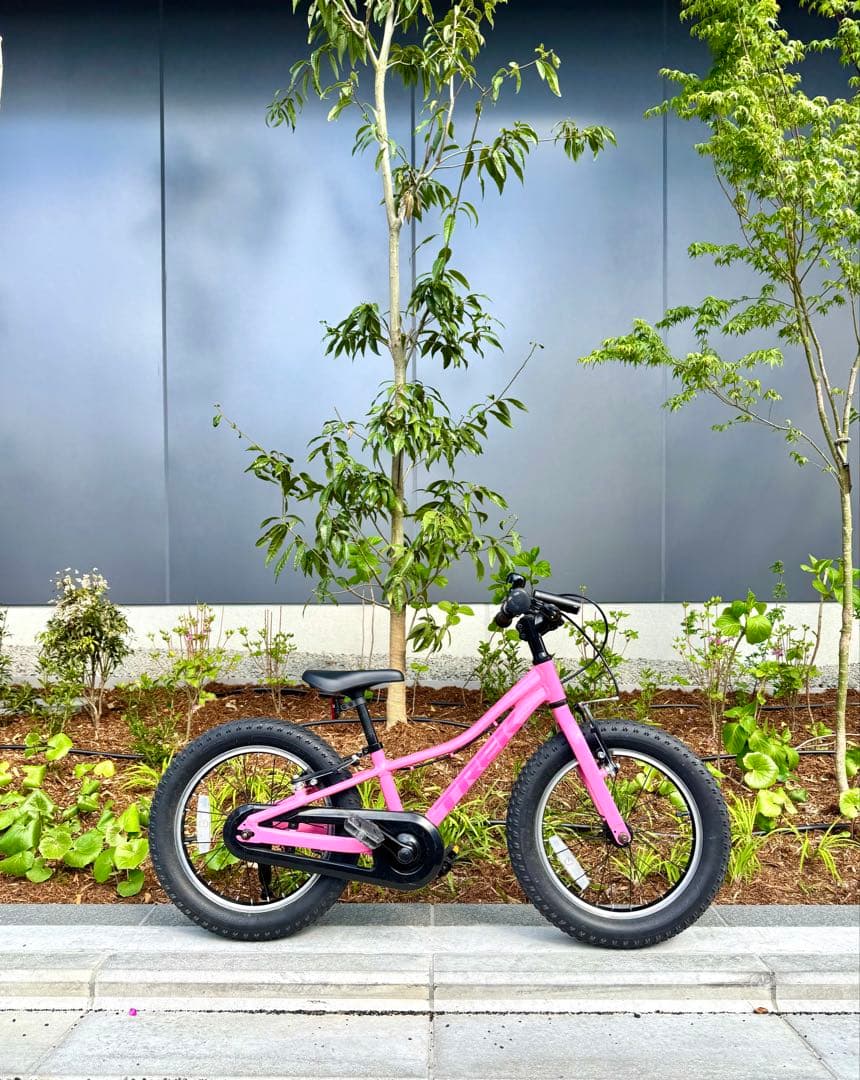 自転車本体 TREK PRECALIBER 16