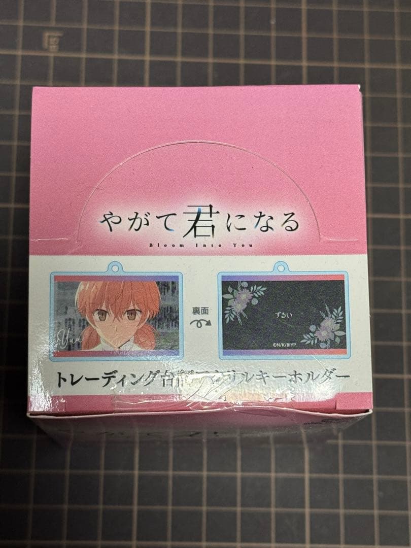 【仲谷鳰】やがて君になる トレーディング台詞アクリルキーホルダー 8種セット