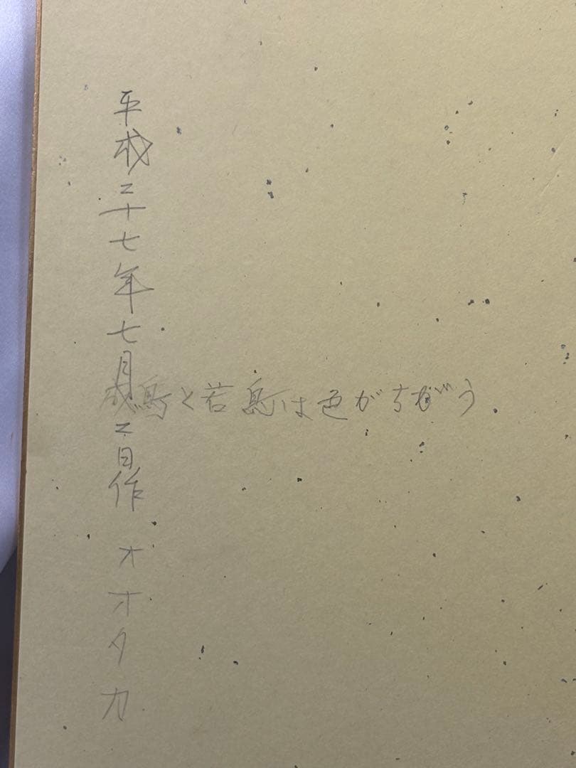 【額無水彩画】オオタカ・オオカミ 2枚セット　川崎 信夫 3087