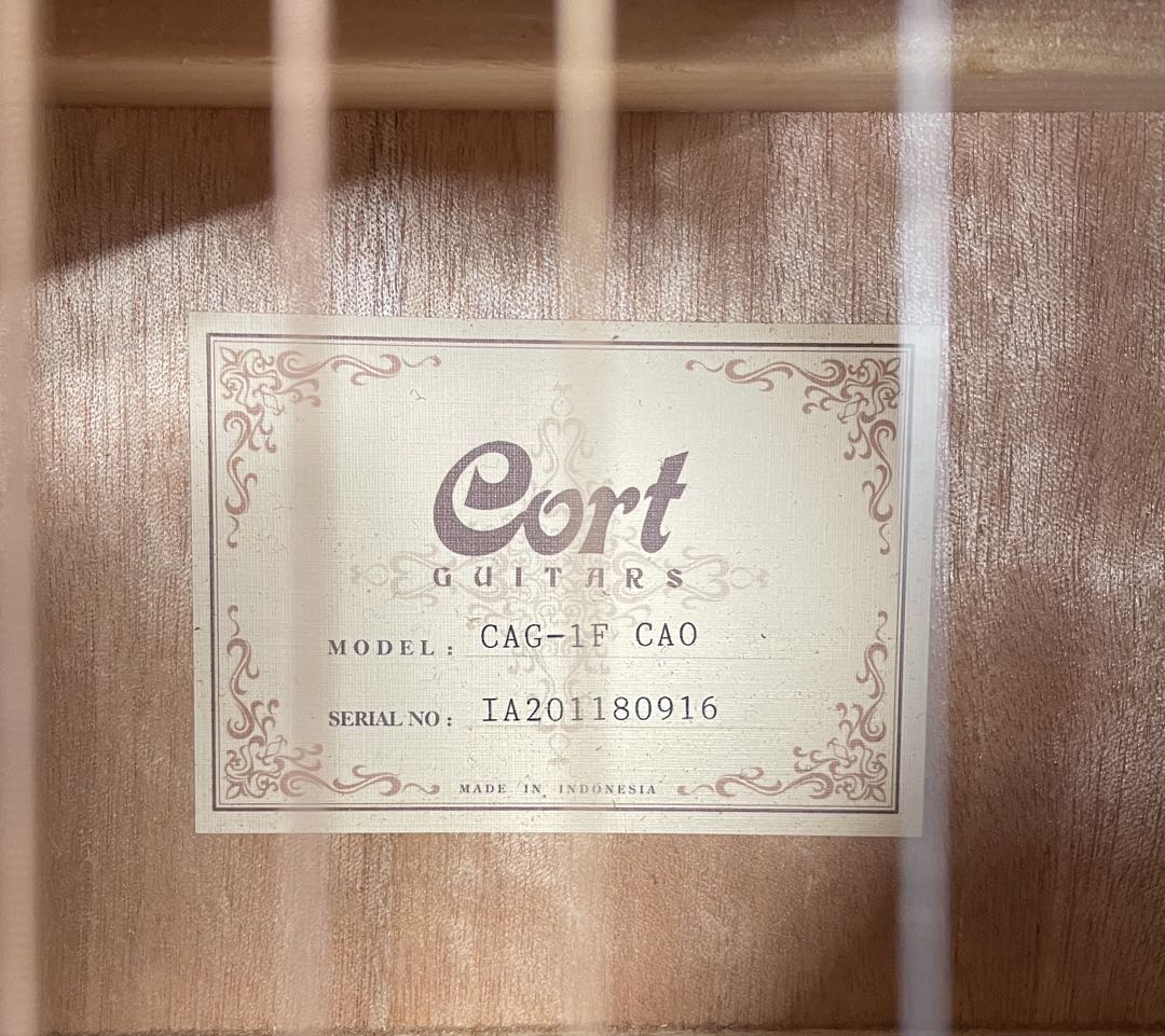 Cort コルト アコースティックギター CAG-1F CAO 初心者セット付き