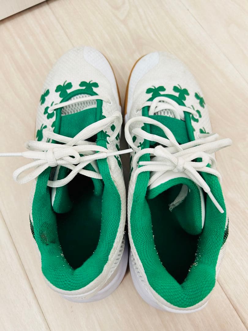 カイリーフライトラップ2 EP 　セルティックス　クローバー 26cm