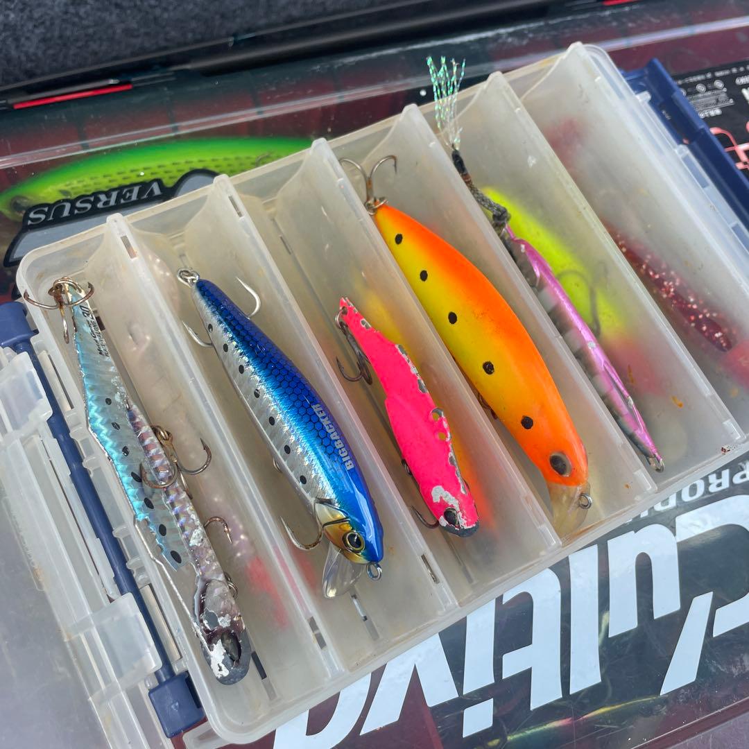 ヒラメ　シーバスルアーセット
