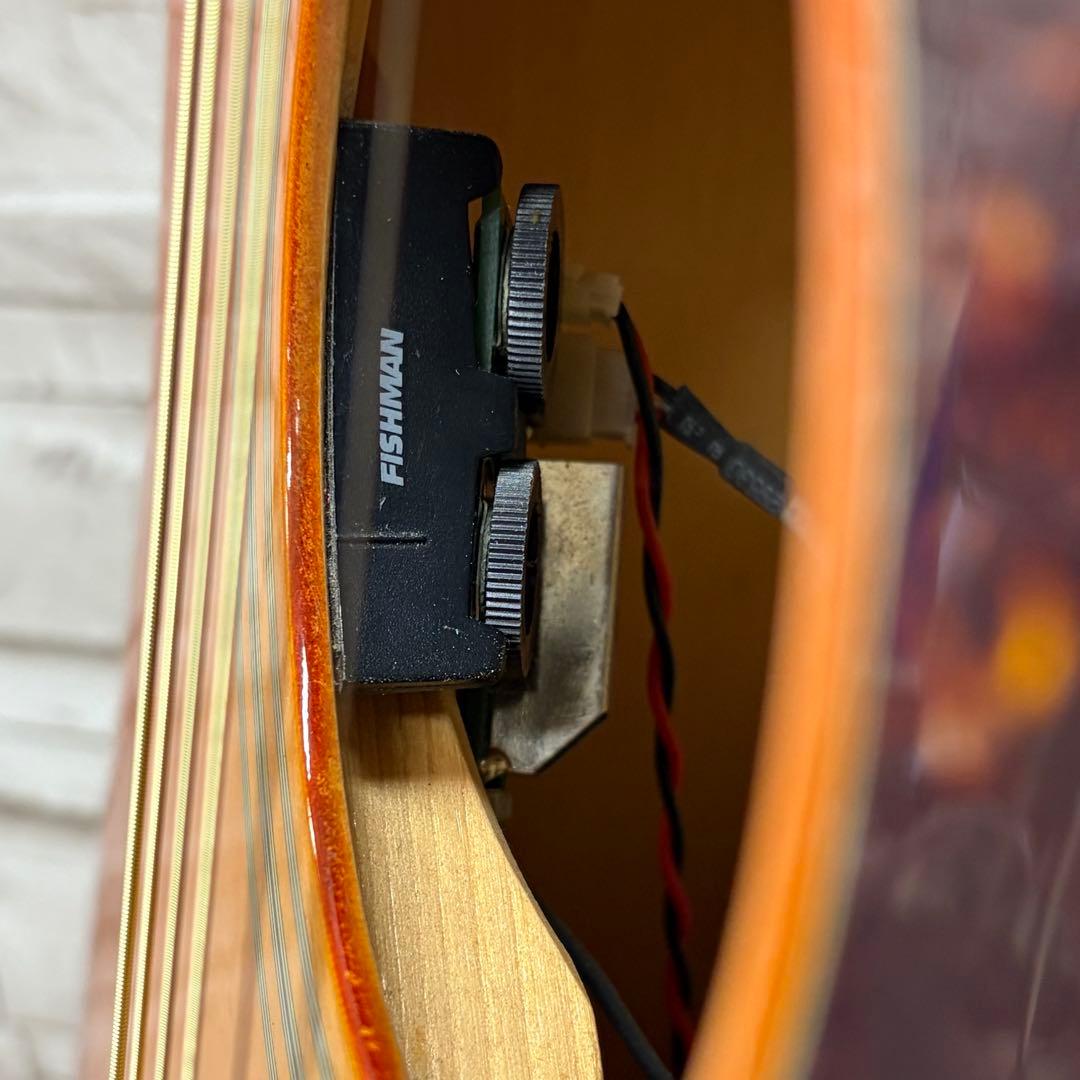 Epiphone エピフォン エレアコ DOVE PRO/VB