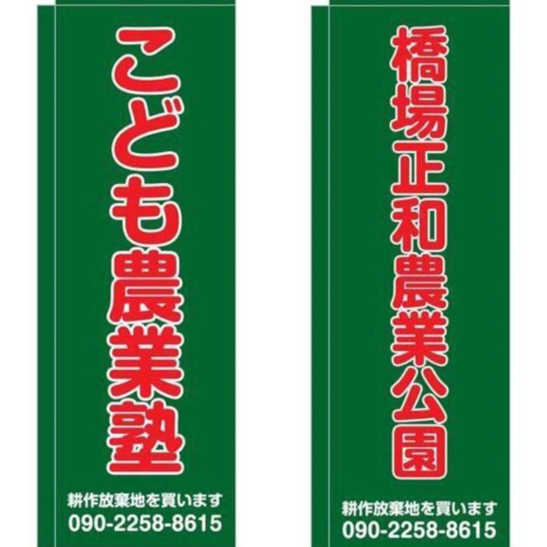 花乙女コレクション【伊藤直　想】購入金額より60％お値引き！！