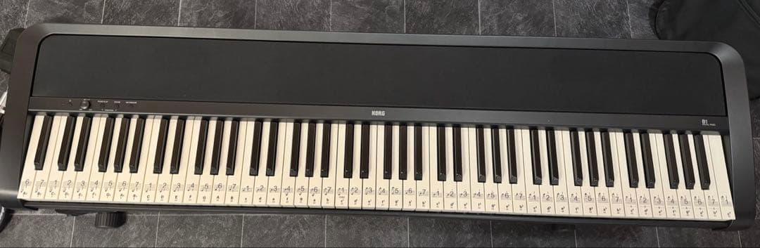【美品】 KORG 電子ピアノ B1 BK 88鍵