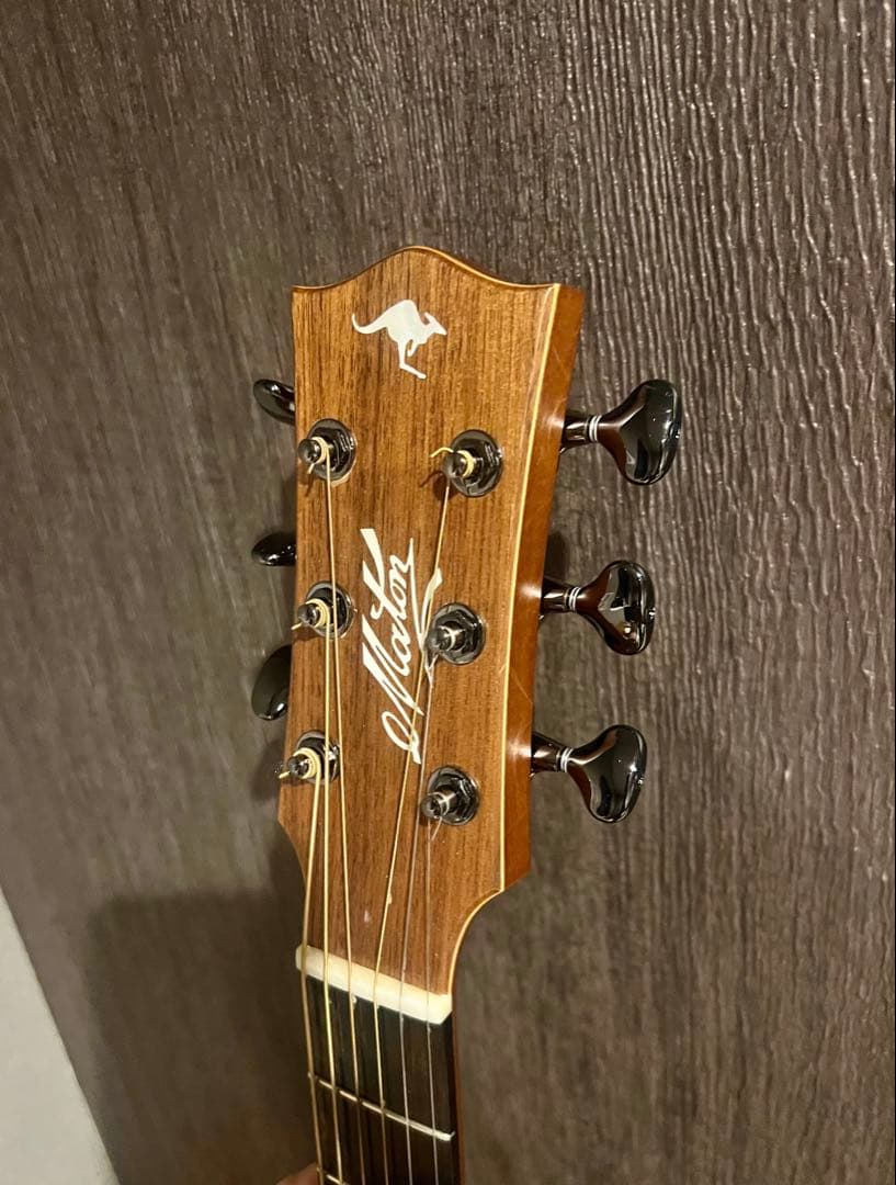【超美品】Maton メイトン　EBG808c TE トミエマモデル！