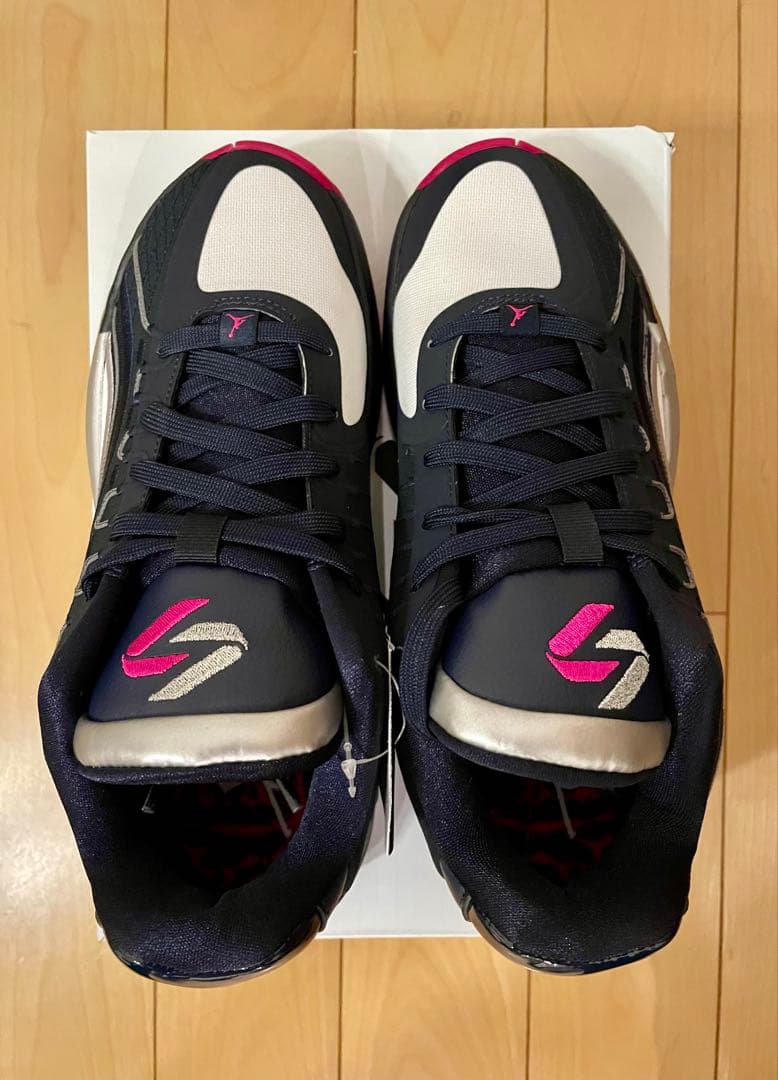 NIKE、Jordan、ルカ4 GS、25センチ（キッズモデル）